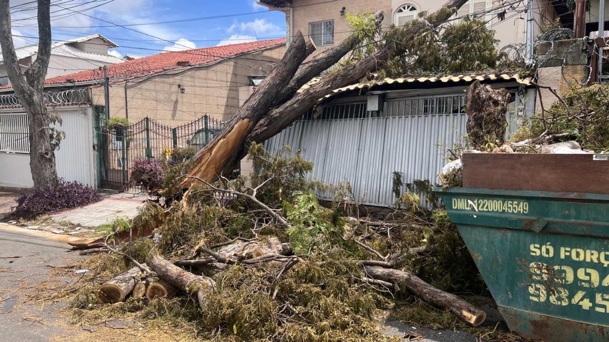 Árvores caem na Rua Deputado Wilson Tanure, no Bairro Santa Amélia, na Região Pampulha, em BH-Edésio Ferreira/EM/DA Press
