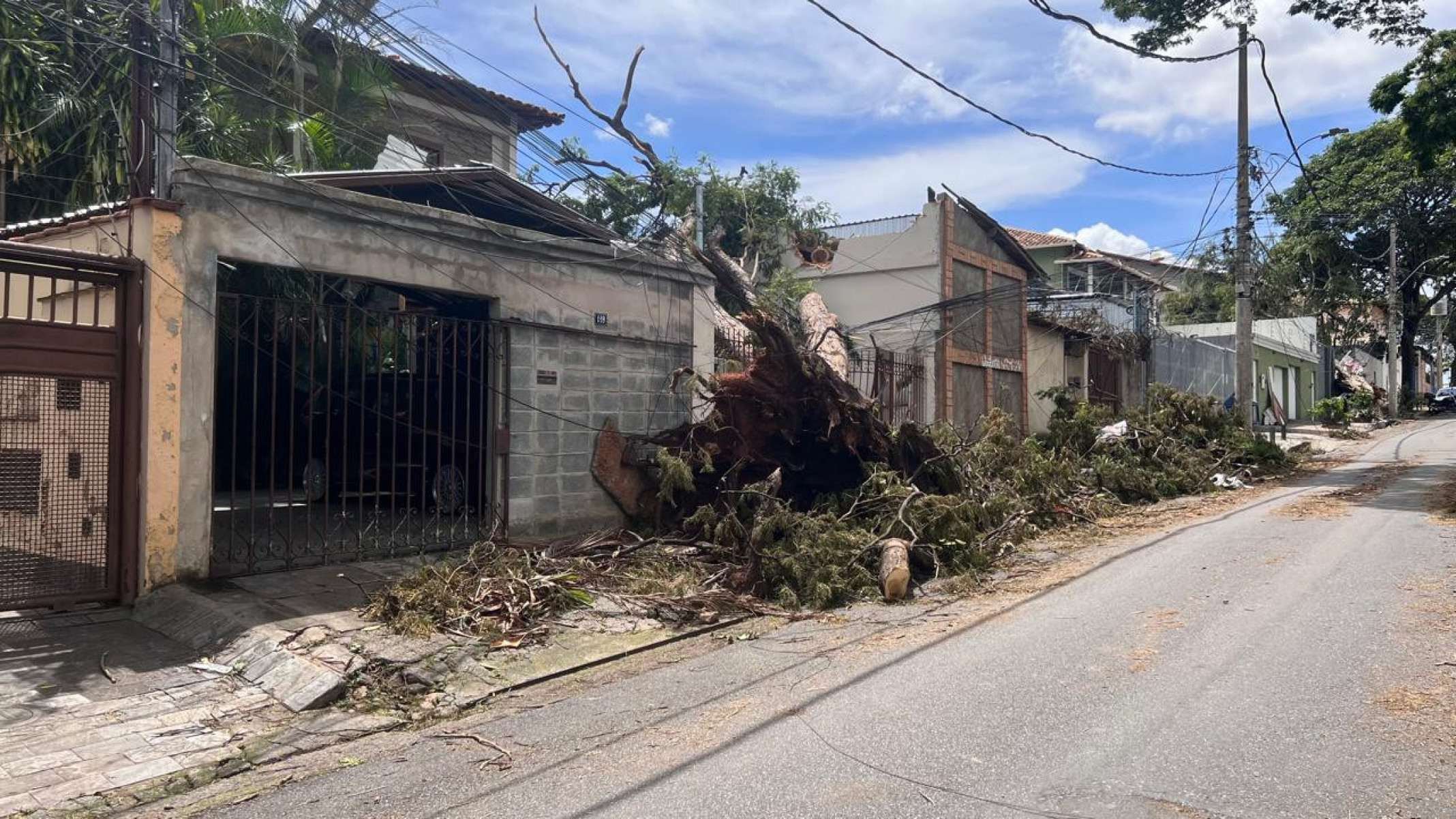 Árvores caem na Rua Deputado Wilson Tanure, no Bairro Santa Amélia, na Região Pampulha, em BH-Edésio Ferreira/EM/DA Press