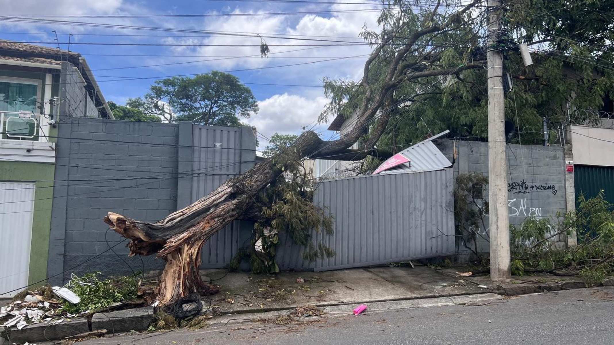 Árvore cai e derruba portão na Rua Augusto de Lima Júnior, no Bairro Santa Branca, na Região Pampulha, em BH-Edésio Ferreira/EM/DA Press