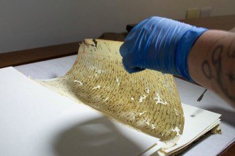 Documentos históricos revelam detalhes sobre Chica da Silva