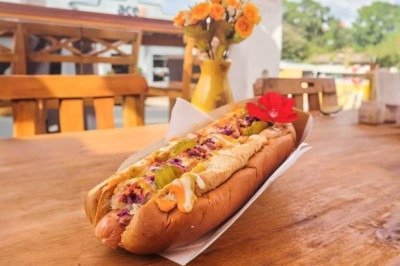 Quem vai Holambra, cidade que é referência na produção de flores no Brasil, tem uma opção gastronômica que chama atenção nas redes sociais: o cachorro-quente de 23cm que leva flores comestíveis . O FLIPAR mostrou e republica para quem não viu.  -  (crédito: Divulgação )