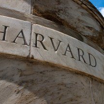 Ex-gerente do necrotério de Harvard condenado por vender pedaços de corpos - See-ming Lee/Flickr