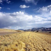 Operação surpreendente lançou castores com paraquedas e entrou para a história - 12019 por Pixabay