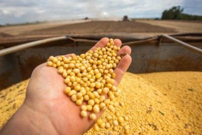 Greenpeace alerta STF que lei do Mato Grosso pode matar Moratória da Soja -  (crédito: Platobr Economia)