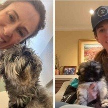 Clonagem de pets: mulher desembolsa R$ 276 mil para ter cão de volta - Reproução / TikTok