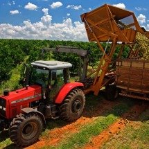 Injeção bilionária de dinheiro para a economia acelerar no fim do ano - Marcos Vieira/EM/D.A Press