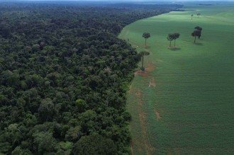 Retrospectiva 2025: em ano de COP30, o Brasil fez o dever de casa?