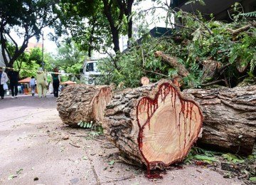 Quarteirão da Savassi, em BH, ficou fechado após queda de árvore -  (crédito: Leandro Couri/EM/D.A Press)