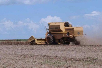 Mudança no seguro rural vira foco de atrito entre governo e agronegócio -  (crédito: Platobr Economia)
