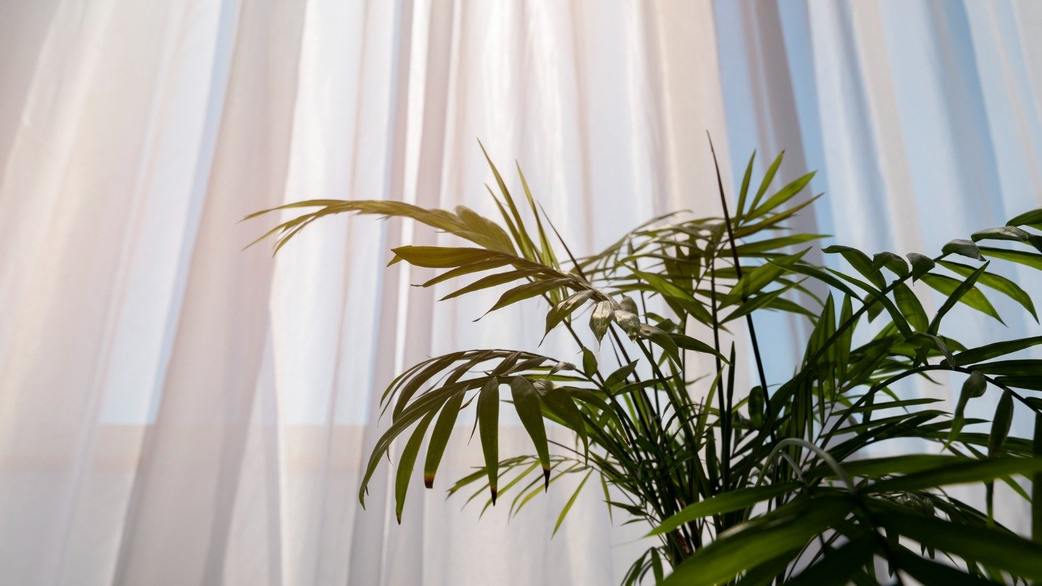 Como ter uma casa mais fresca no calor sem usar ar-condicionado - Freepik