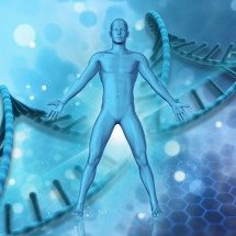 O corpo que você levou para o ano seguinte - Kjpargeter/Freepik