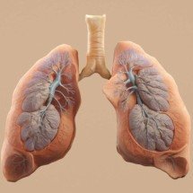 Biópsia líquida avança no combate ao câncer de pulmão - Aakash Dhage/Unsplash