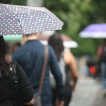 BH está em alerta para pancadas de chuva nesta sexta (19/12) - Marcos Vieira /EM/DA. Press. Brasil. Belo Horizonte - MG