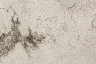 Adeus, cheiro de mofo! Saiba quais as melhores dicas caseiras