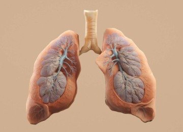 O câncer de pulmão não pequenas células (CPNPC) representa cerca de 85% dos casos -  (crédito: Aakash Dhage/Unsplash)