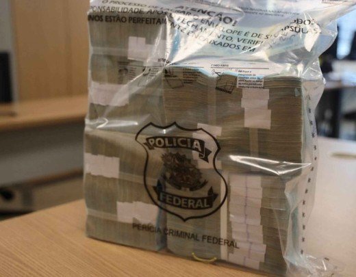 Segundo as investigações, agentes políticos, servidores comissionados e particulares teriam atuado de forma articulada para desviar e ocultar recursos públicos -  (crédito: Divulgação/PF)