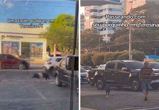 Reprodução / TikTok