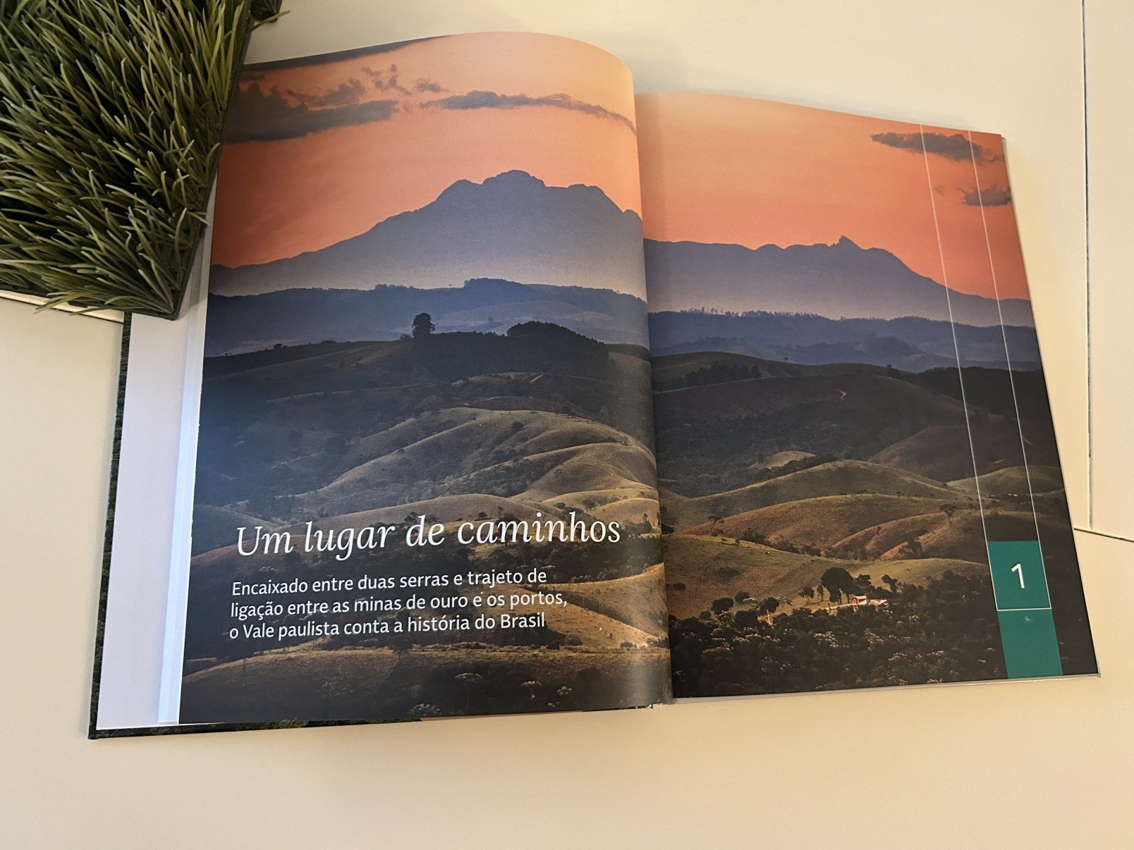 Aulas gratuitas sobre Vale do Paraíba atraem atenção de centenas de professores - DINO