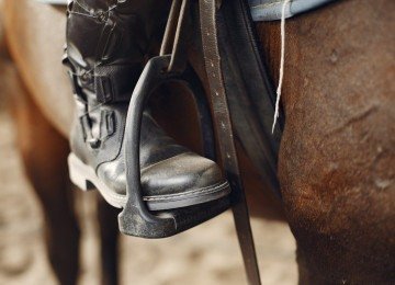 Imagem meramente ilustrativa. O sogro teria perseguido o genro a cavalo -  (crédito: Freepik/Reprodu&ccedil;&atilde;o)