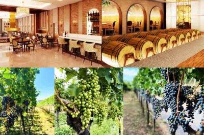 O Sul do Brasil é um destino encantador para os amantes de vinho e boa gastronomia. Repleto de vinícolas premiadas, paisagens deslumbrantes e experiências únicas, a região oferece desde tours com degustações até hospedagens diferenciadas.  -  (crédito: Instagram @castelosdovale)