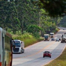 Fique vivo na BR-040: perigos são diferentes para a praia ou o cerrado - Leandro Couri/EM/D.A Press