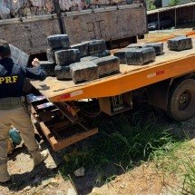 PRF apreende mais de uma tonelada de maconha na BR-262 - Divulgação/PRF