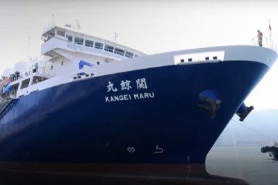 Pensando em mudar de área ou procurando apenas aprender coisas novas? Que tal tentar ser corretor de navios? É uma profissão com baixa procura no Brasil, o que pode ser interessante para você se destacar no futuro.  -  (crédito: reprodução youtube Le Parisien)