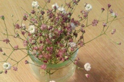 Celebridades como Gisele Bündchen, Virgínia Fonseca e Simone Mendes são fãs declaradas da banana e costumam incluí-la nas refeições diárias, seja em smoothies, bolos fitness ou combinações simples com aveia e mel. A fruta conquistou o paladar de várias personalidades por ser versátil, nutritiva e acessível, além de oferecer benefícios ao coração, aos rins e à disposição física. -  (crédito: Cristina Yuki Ota Cabrera FlickR)