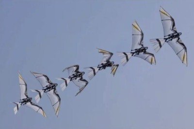 Pesquisadores chineses desenvolveram um robô que imita os movimentos de pássaros e morcegos de maneira autônoma. -  (crédito: Divulgação/Science Advances)