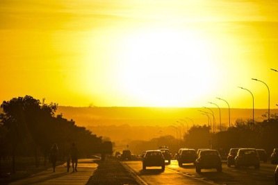Com a chegada do verão no dia 21 de dezembro, o aumento das temperaturas e da umidade favorece a presença de animais dentro das residências.  -  (crédito: Marcello Casal Jr/Agencia Brasil)