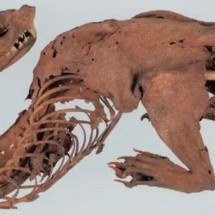 Ciência desvenda mistério de ‘dragão japonês’ encontrado no século 15 - Reprodução/Office of the Shosoin Treasure House