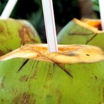 Água de coco ajuda no tratamento da colite ulcerativa - Gadini /Pixabay