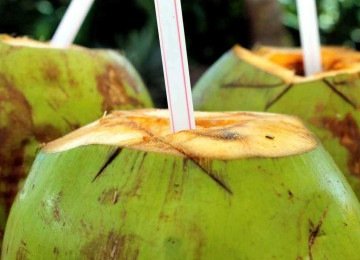 As propriedades anti-inflamatórias e antimicrobianas da água de coco podem aliviar a irritação da mucosa intestinal
 -  (crédito: Gadini /Pixabay)