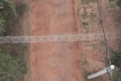 Em Alta Floresta (MT), sete pontes suspensas entre árvores foram instaladas para proteger macacos raros da Amazônia. Mais de 4.900 travessias foram registradas em nove meses, evitando atropelamentos.  A ação é monitorada por câmeras e divulgada mensalmente pela bióloga Maelle Lima no “bichômetro” da praça das Capivaras. -  (crédito: Reprodução / TV TEM)