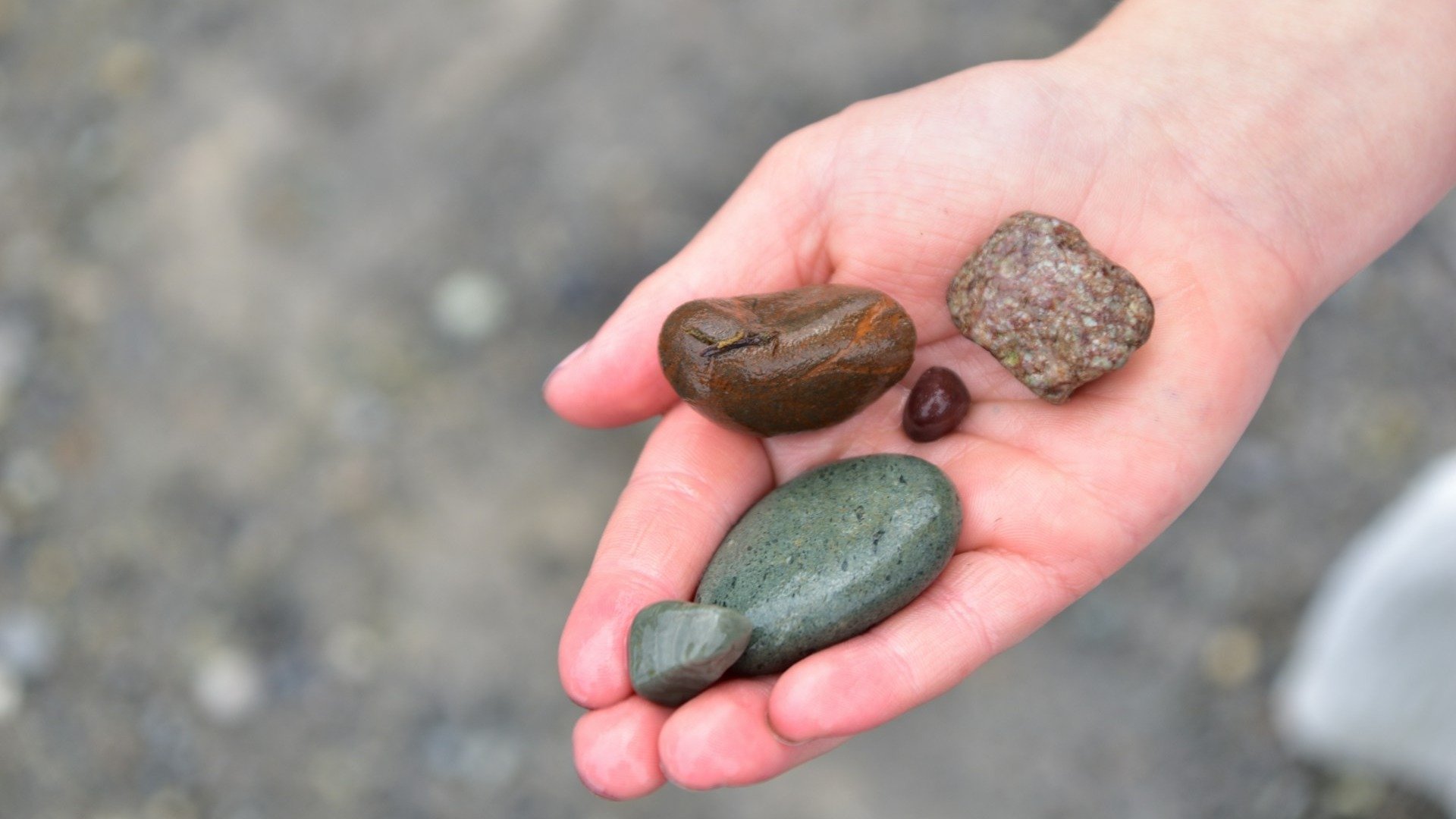 7 gafes de turistas que você não pode cometer em uma viagem - Sara Bach/ Unsplash     