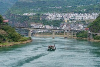 Pesquisadores descobrem nova espécie de peixe gigante predador