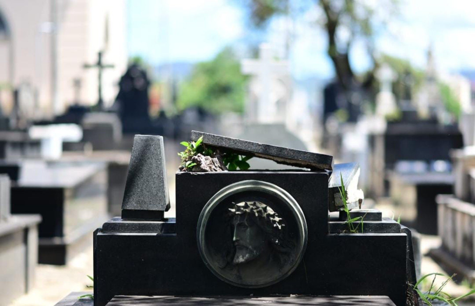 Túmulos foram violados, placas foram arrancadas e peças de bronze e outros ornamentos que foram alvos dos furtos deixando para trás um cenário de abandono, tristeza e revolta-Leandro Couri/EM/D.A. Press