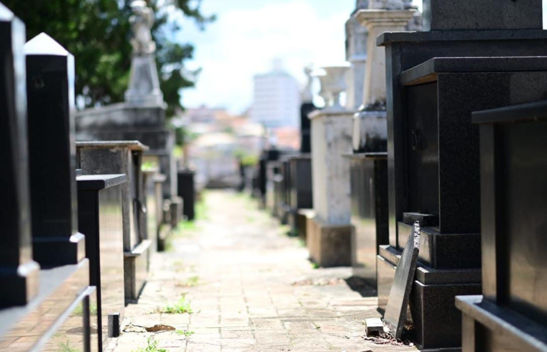 Túmulos foram violados, placas foram arrancadas e peças de bronze e outros ornamentos que foram alvos dos furtos deixando para trás um cenário de abandono, tristeza e revolta-Leandro Couri/EM/D.A. Press