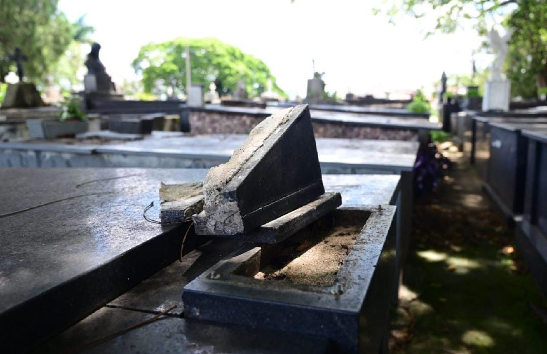 Túmulos foram violados, placas foram arrancadas e peças de bronze e outros ornamentos que foram alvos dos furtos deixando para trás um cenário de abandono, tristeza e revolta -Leandro Couri/EM/D.A. Press