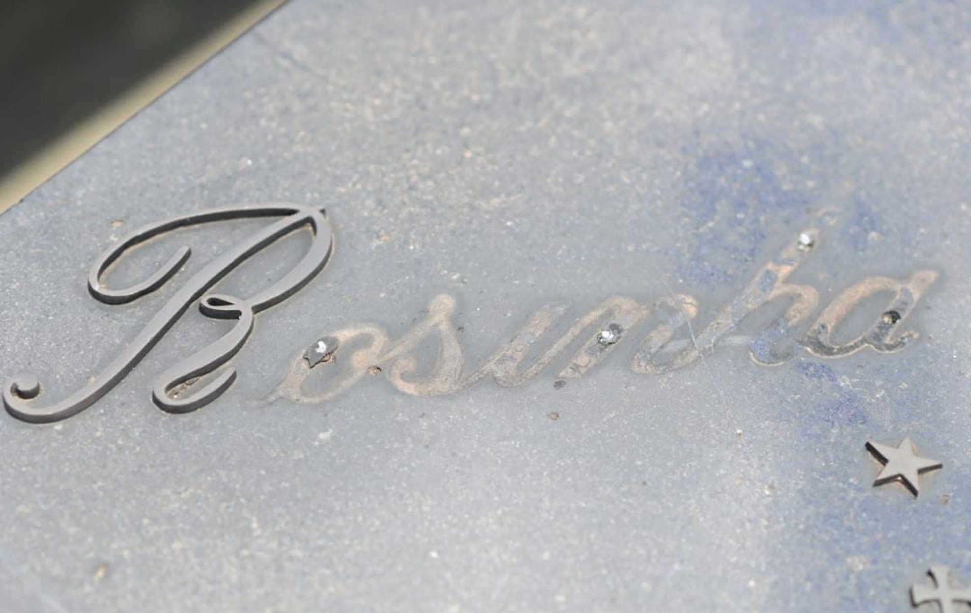 Túmulos foram violados, placas foram arrancadas e peças de bronze e outros ornamentos que foram alvos dos furtos deixando para trás um cenário de abandono, tristeza e revolta -Leandro Couri/EM/D.A. Press