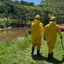 Véspera de Natal tem três resgates de corpos em rios de Minas - Divulgação/Corpo de Bombeiros