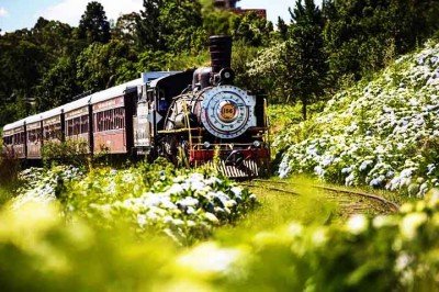 Viajar de trem é uma experiência ainda pouco explorada por muitos brasileiros. O país, com sua impressionante diversidade de paisagens — que vão das montanhas e cerrados aos encantadores cenários litorâneos — oferece passeios ferroviários como uma forma única e encantadora de apreciar toda essa beleza natural. -  (crédito: Reprodução Youtube)