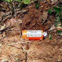 Caixa-preta: o dispositivo que revela detalhes de acidentes aéreos -  Divulgação/FAB - Caixa-preta - Divulgação/FAB