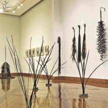 Alexandre Brandão recria a natureza em mostra no Museu de Artes e Ofícios - Rogério Sol/Divulgação