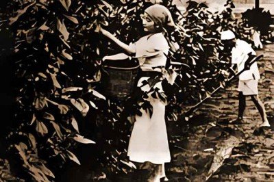 O Dia Nacional da Imigração Japonesa, celebrado anualmente em 18 de junho, marca a chegada ao Brasil dos primeiros imigrantes nipônicos. Eles se tornariam uma grande comunidade integrada ao país.  -  (crédito:  - Flickr 47's)