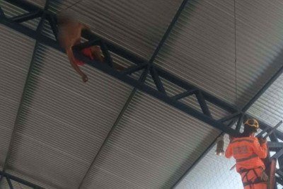 Jovem ficou preso a uma altura de 15 metros e precisou ser resgatado -  (crédito: Divulgação/Corpo de Bombeiros Militar de Minas Gerais)