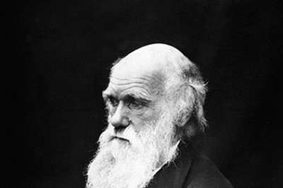 O naturalista, geólogo e biólogo britânico Charles Darwin foi um dos maiores cientistas da história com sua Teoria da Evolução. Ele apresentou a tese da descendência dos seres vivos a partir de um ancestral em comum.  -  (crédito: Wikilmages pixabay)