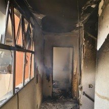 Vídeo: chamas consomem apartamentos na Pampulha e cão é resgatado - Reprodu&ccedil;&atilde;o CBMMG