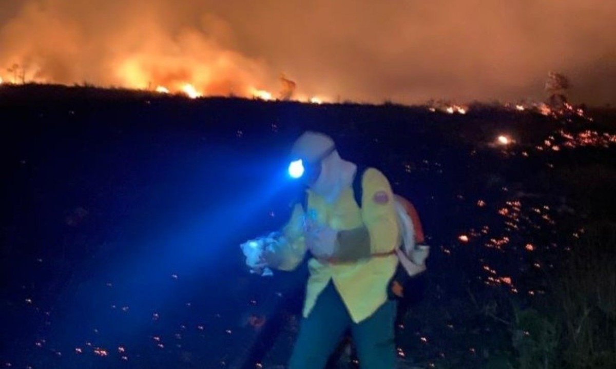 Atuaram no combate ao fogo por 15 combatentes do ICMBio e Brigada Volunt&aacute;ria Cip&oacute;