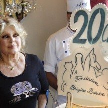 Por que a atriz Brigitte Bardot vestia só roupas pretas após deixar o cinema - STEPHANE DE SAKUTIN / AFP